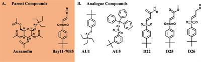 Gold complex compounds that inhibit drug-resistant Staphylococcus aureus by targeting thioredoxin reductase